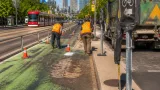 Ontario appeal court clears way for removal of 19 km of Toronto protected bike lanes