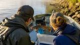 Researchers probe whether contagious catfish cancer seen near Quebec has reached New Brunswick