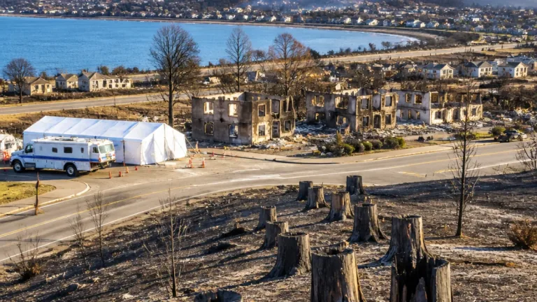 Kingston fire reshaped Newfoundland and Labrador’s approach to wildfires, experts say
